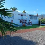 Vivaldi Summer * Icod De Los Vinos