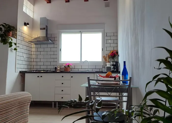 Vivaldi Summer イコー・デ・ロス・ビノス