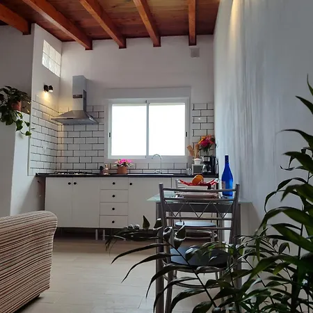 Vivaldi Summer 이코드레로스비노스