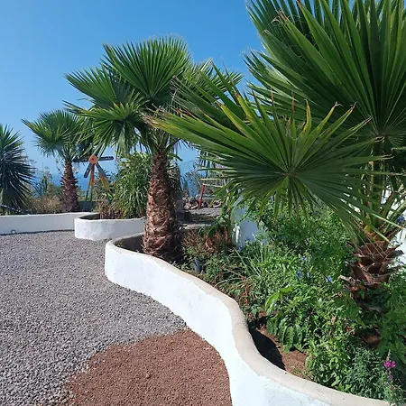 아파트 Vivaldi Summer *