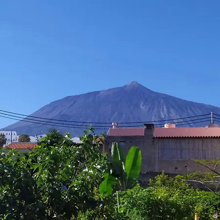 Vivaldi Summer 이코드레로스비노스