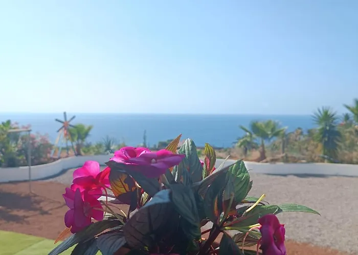 Апартаменты Vivaldi Summer