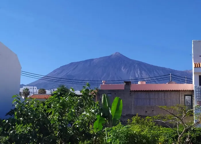 Vivaldi Summer إيكود ذي لوس فينوس